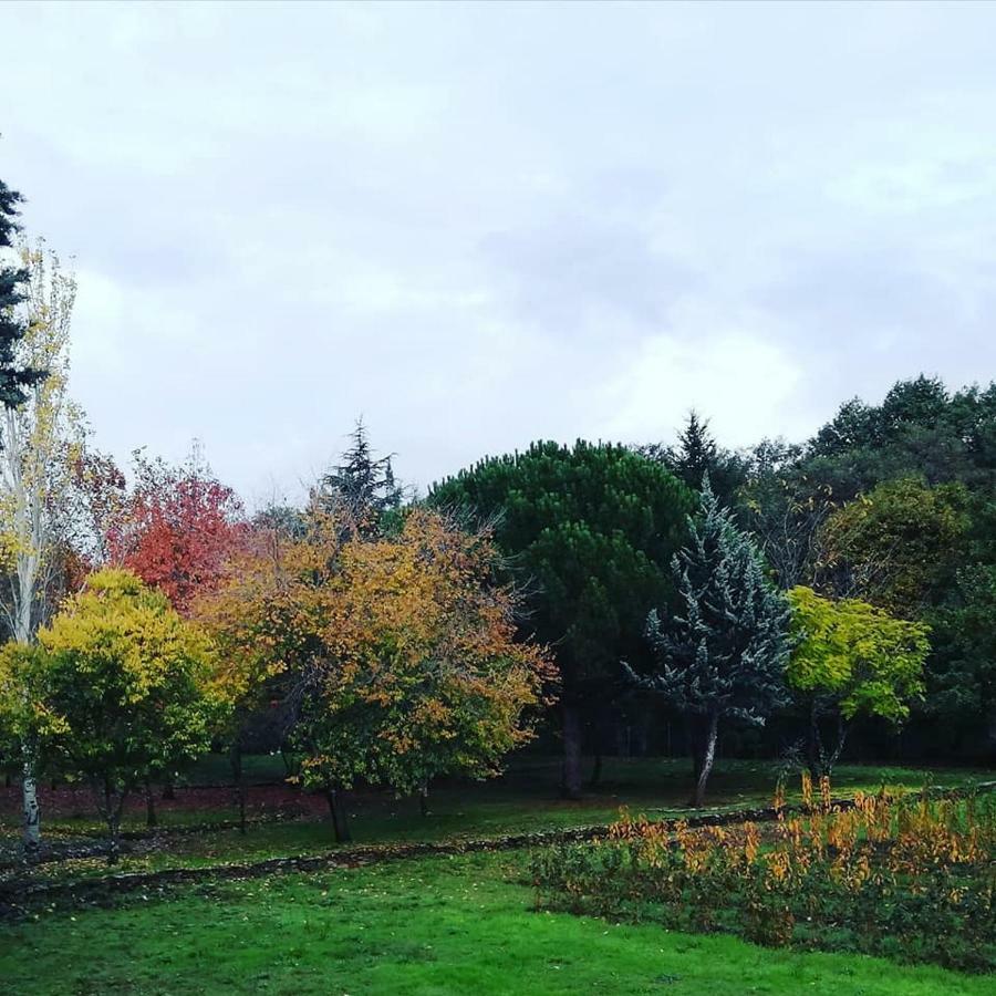 Apartamento Zocailla Suite Gata Bagian luar foto